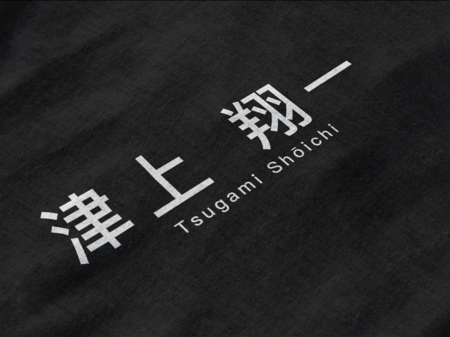 HEI22 | HEISEI COLLECTION「TSUGAMI SHOICHI 津上 翔一」